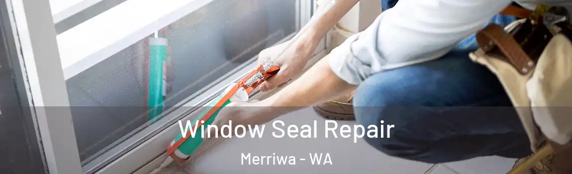 Window Seal Repair Merriwa - WA