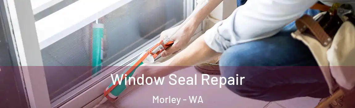 Window Seal Repair Morley - WA