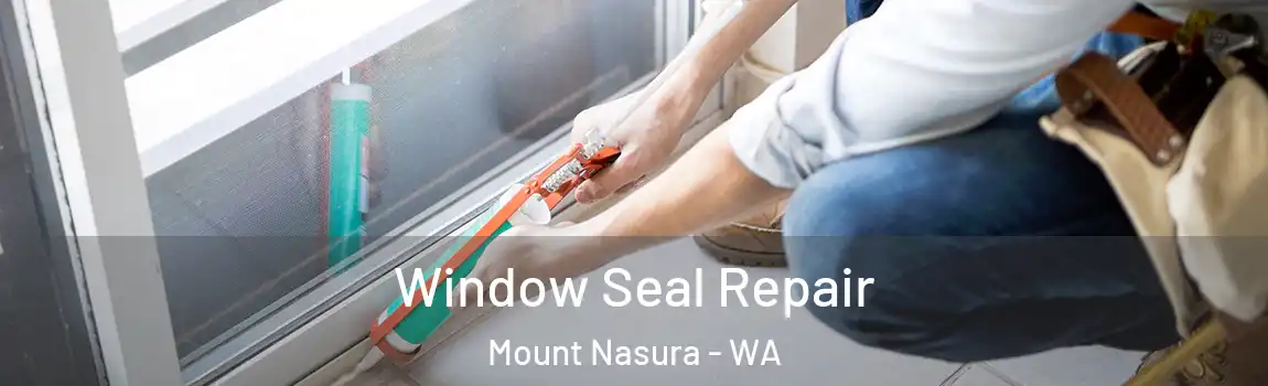 Window Seal Repair Mount Nasura - WA