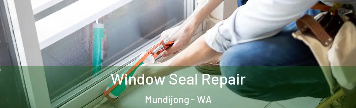 Window Seal Repair Mundijong - WA