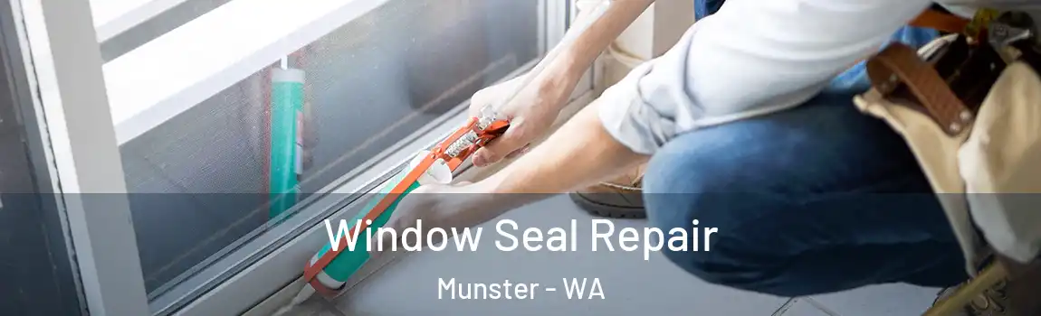 Window Seal Repair Munster - WA