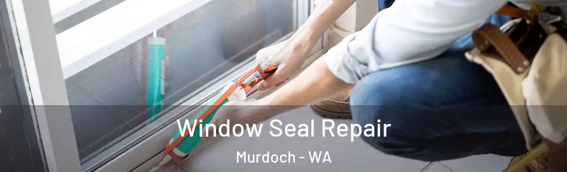 Window Seal Repair Murdoch - WA