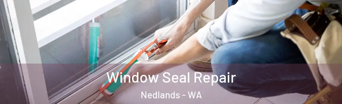 Window Seal Repair Nedlands - WA