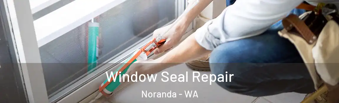 Window Seal Repair Noranda - WA