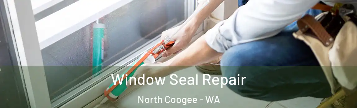 Window Seal Repair North Coogee - WA