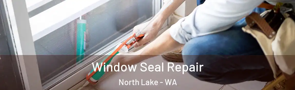 Window Seal Repair North Lake - WA