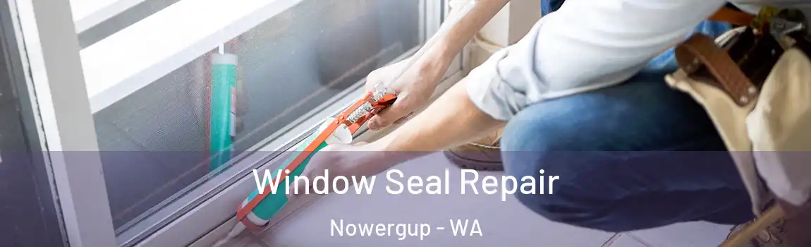 Window Seal Repair Nowergup - WA