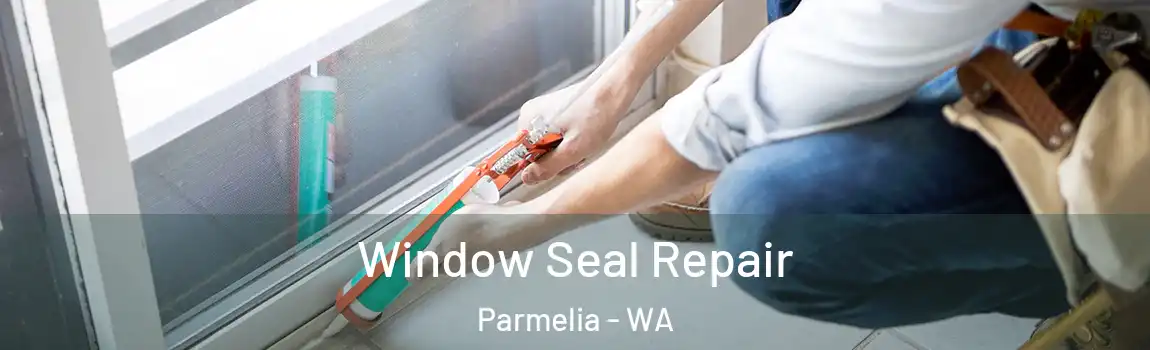 Window Seal Repair Parmelia - WA