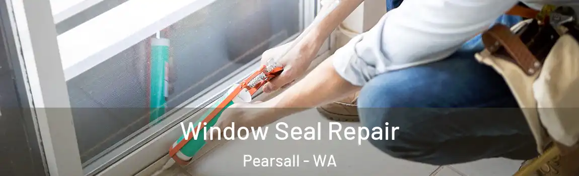 Window Seal Repair Pearsall - WA