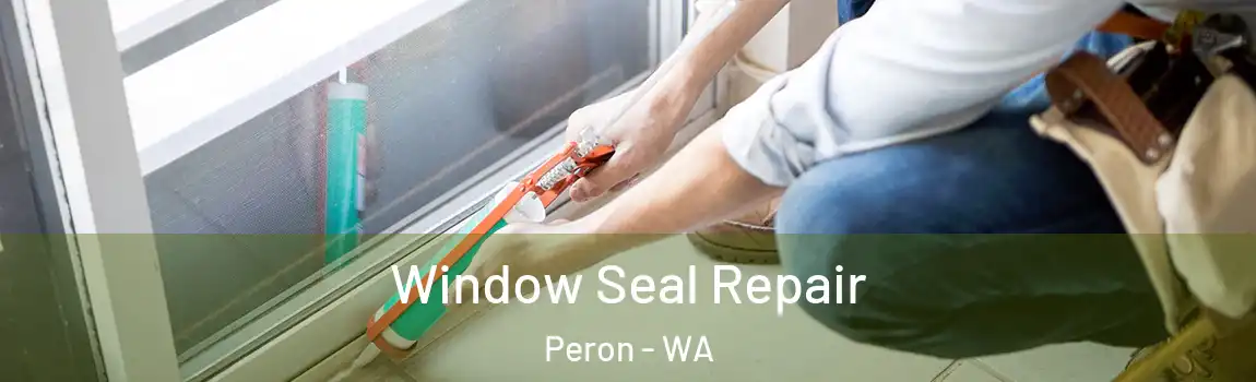 Window Seal Repair Peron - WA