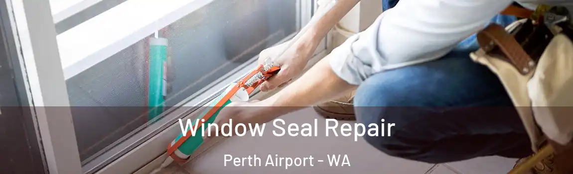 Window Seal Repair Perth Airport - WA