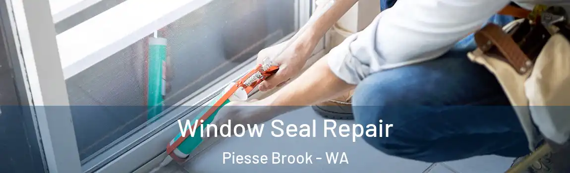 Window Seal Repair Piesse Brook - WA