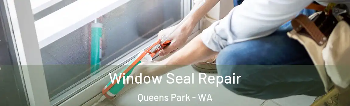 Window Seal Repair Queens Park - WA