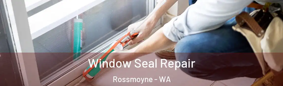 Window Seal Repair Rossmoyne - WA