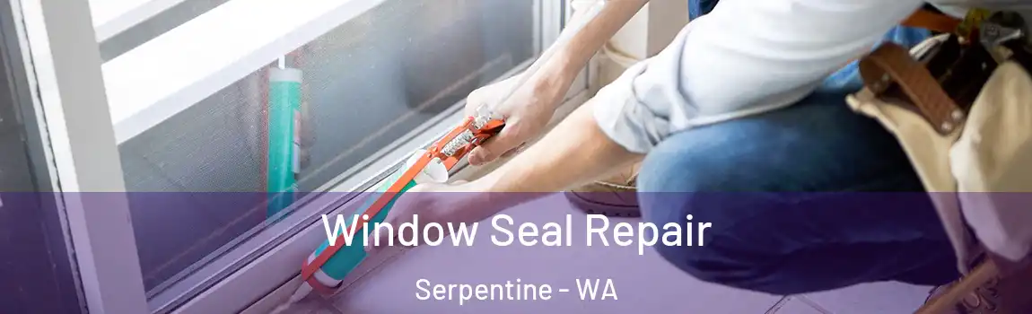 Window Seal Repair Serpentine - WA