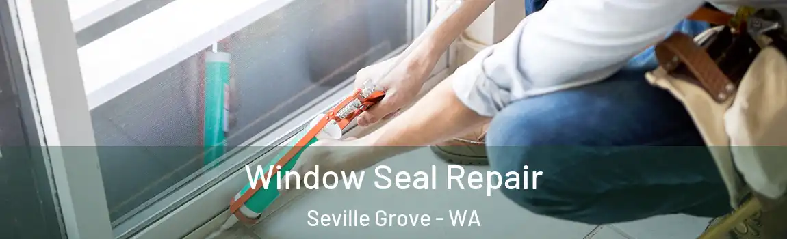 Window Seal Repair Seville Grove - WA