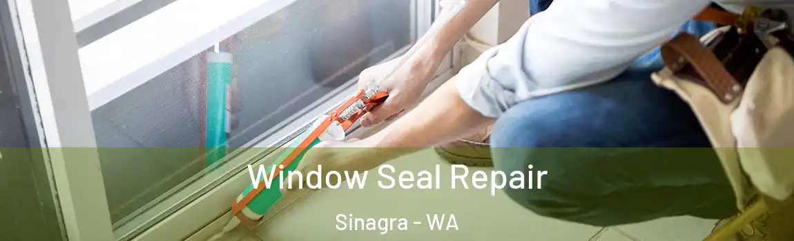 Window Seal Repair Sinagra - WA