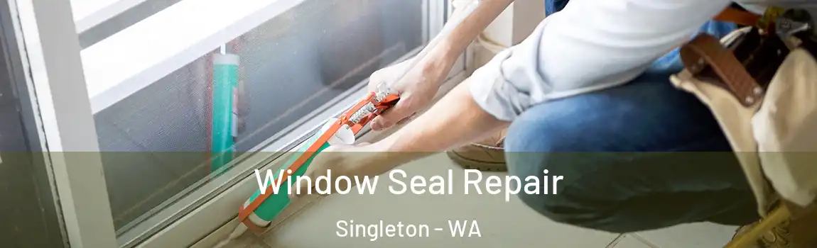 Window Seal Repair Singleton - WA