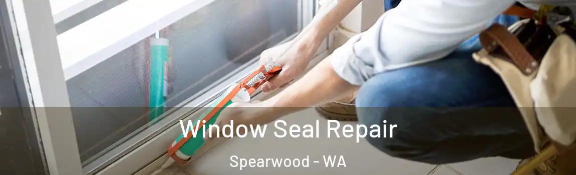 Window Seal Repair Spearwood - WA