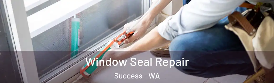 Window Seal Repair Success - WA