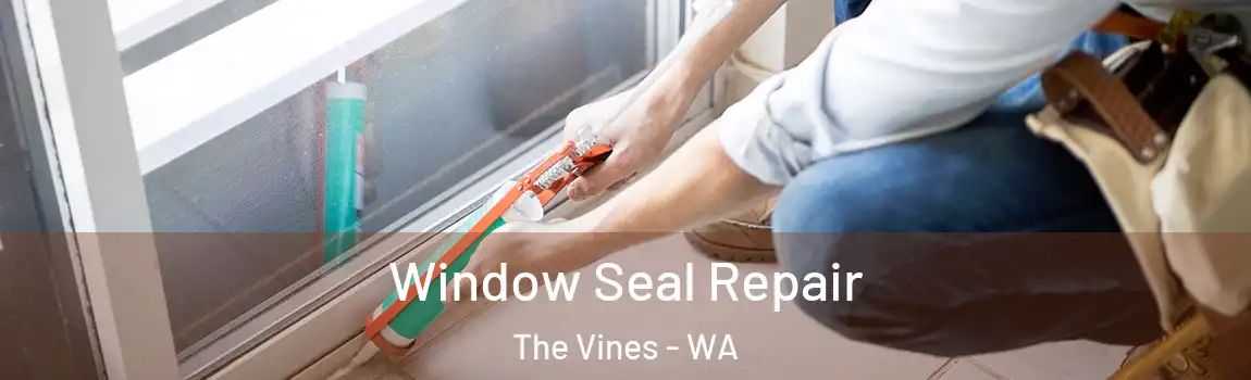 Window Seal Repair The Vines - WA