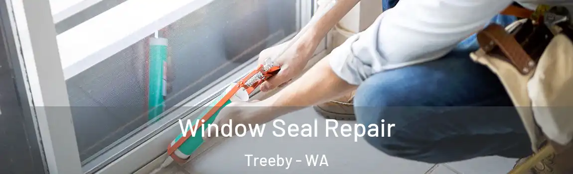 Window Seal Repair Treeby - WA