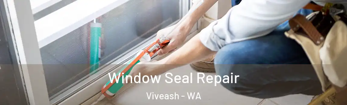 Window Seal Repair Viveash - WA