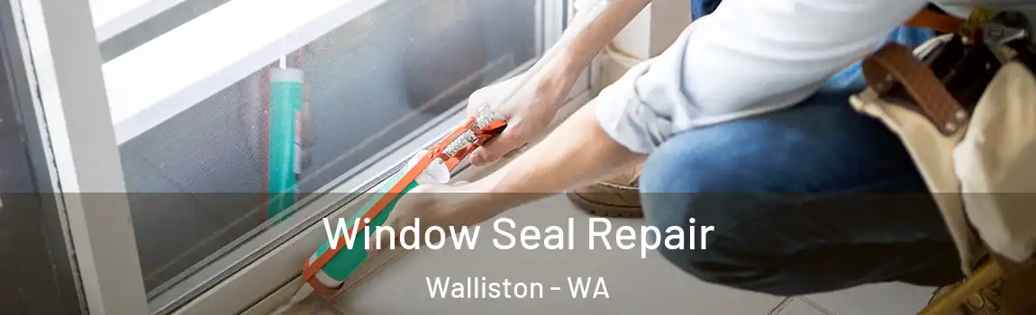 Window Seal Repair Walliston - WA