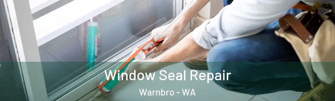 Window Seal Repair Warnbro - WA