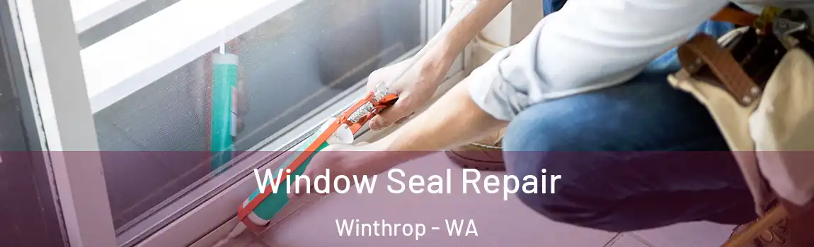 Window Seal Repair Winthrop - WA