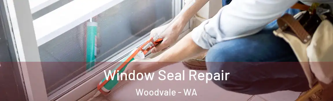 Window Seal Repair Woodvale - WA