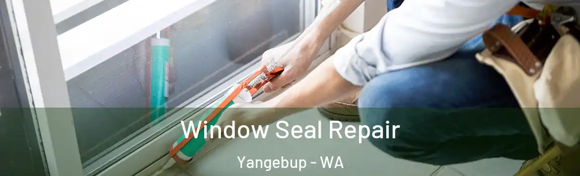 Window Seal Repair Yangebup - WA