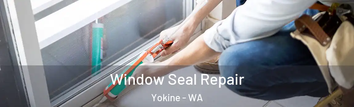 Window Seal Repair Yokine - WA